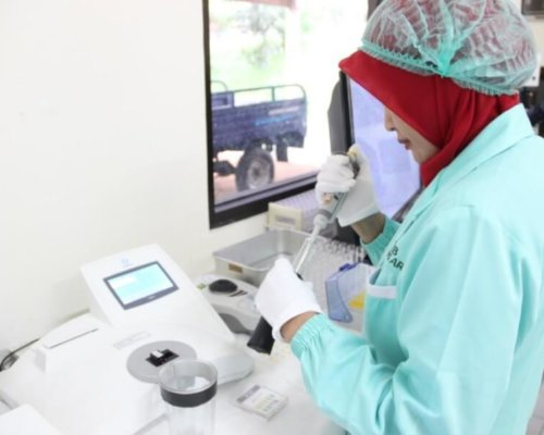 laboratorium uji mutu