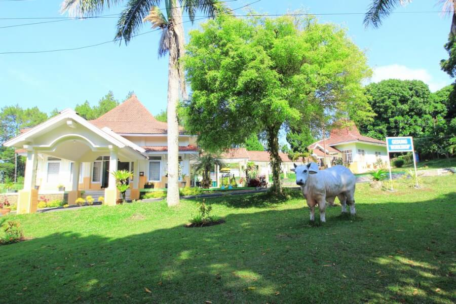 Sewa Aset dan Gedung