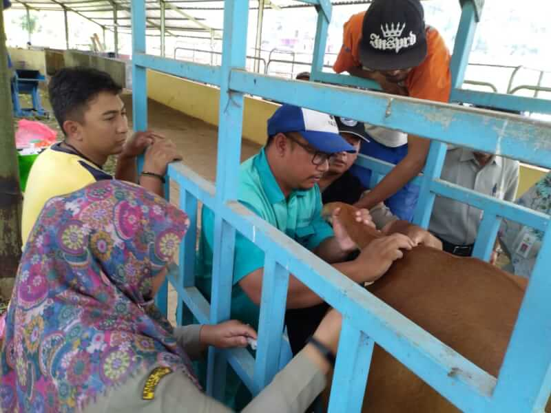 Jasa Teknis Lapangan